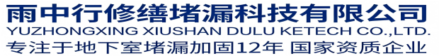 山东雨中行科技防水堵漏工程有限公司