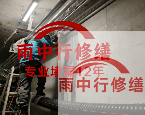 山东电缆线空洞堵漏加固案例