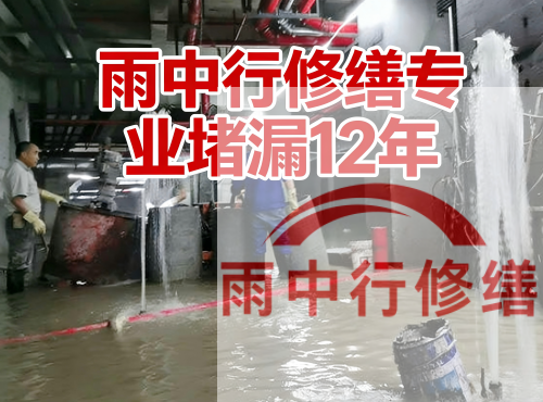 山东中国五矿某大型污水处理厂堵漏案例